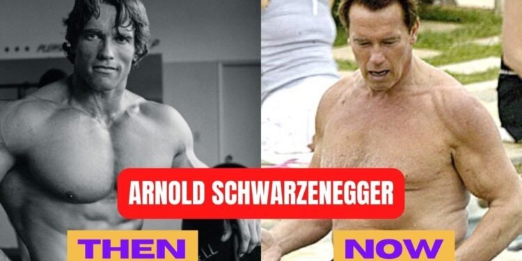 How Tall Is Arnold Schwarzenegger