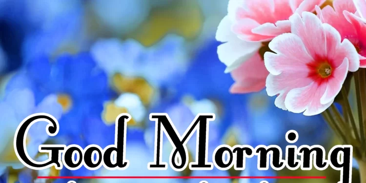 Good Morning Wednesday Blessings