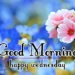 Good Morning Wednesday Blessings