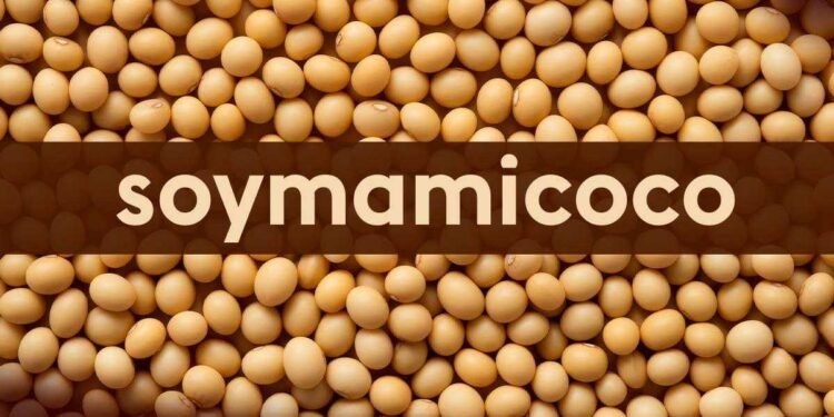 Soymamicoco