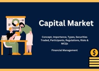 Capital Market Analysis